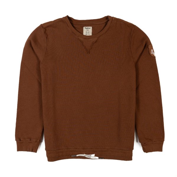 Nupkeet - Brown Sweatshirt In Pure Cotton For Boys And Teenagers